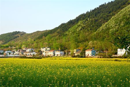 房屋地基沉降怎么辦（地基沉降對(duì)房屋安全的影響） 裝飾工裝設(shè)計(jì) 第4張