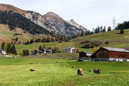 民用鋼結(jié)構(gòu)住宅（鋼結(jié)構(gòu)住宅的市場前景如何？）