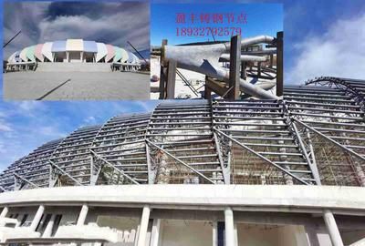 日喀則鋼結(jié)構(gòu)設(shè)計(jì)公司vs北京湃勒思建筑 鋼結(jié)構(gòu)蹦極設(shè)計(jì) 第2張 日喀則鋼結(jié)構(gòu)設(shè)計(jì)公司vs北京湃勒思建筑 鋼結(jié)構(gòu)蹦極設(shè)計(jì) 第2張