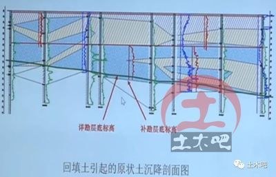 幼兒園綠化設計圖片（幼兒園的綠化設計中，植物的選擇對孩子們的健康和情緒有何影響？）