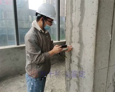 園林綠化管理與養護內容包括（關于園林綠化管理與養護的疑問）