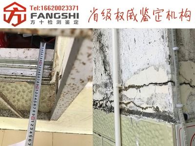 承重墻評估公司有哪些部門(關于承重墻的評估) 鋼結構蹦極施工 第4張 承重墻評估公司有哪些部門(關于承重墻的評估) 鋼結構蹦極施工 第4張