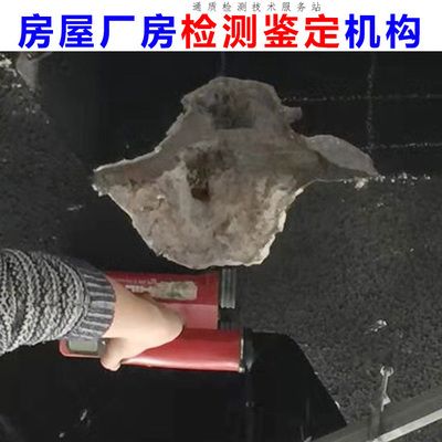 承重墻鑒定費用多少（承重墻鑒定費用）