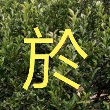 新手學看鋼結(jié)構(gòu)圖紙的最快方法（鋼結(jié)構(gòu)圖紙顯示）