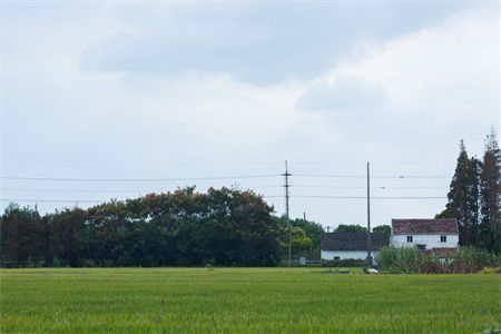 農(nóng)村建樓房基礎(chǔ)下沉多久（農(nóng)村建樓房基礎(chǔ)下沉的影響因素） 鋼結(jié)構(gòu)鋼結(jié)構(gòu)螺旋樓梯施工 第4張