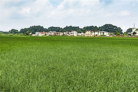 農村房屋地基沉降多少屬正常