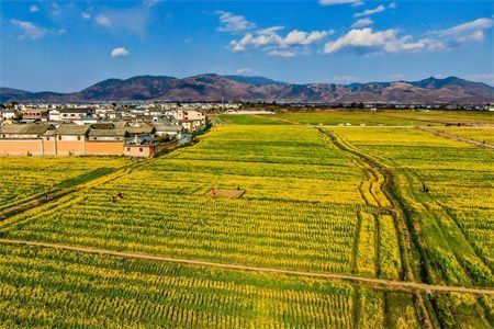 磚混承重墻開洞 建筑施工圖施工 第5張 磚混承重墻開洞 建筑施工圖施工 第5張