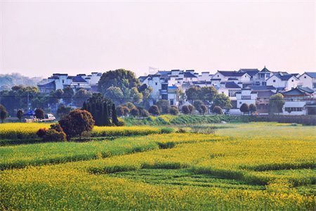 小區(qū)改造誰說了算（小區(qū)改造中常見問題及解決方案,小區(qū)改造居民如何提建議）