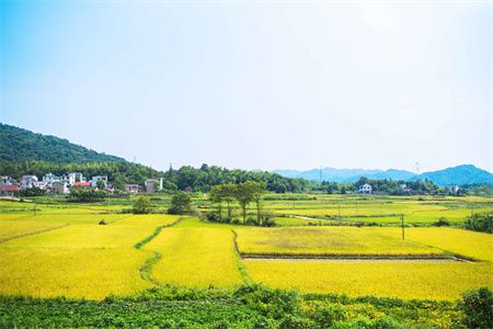 醫用鋼質門的廠家臨朐（貴公司提供的醫用鋼質門是否通過了哪些質量認證） 北京鋼結構設計問答