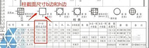 鋼結(jié)構(gòu)柱子基礎(chǔ)柱頭鋼筋圖