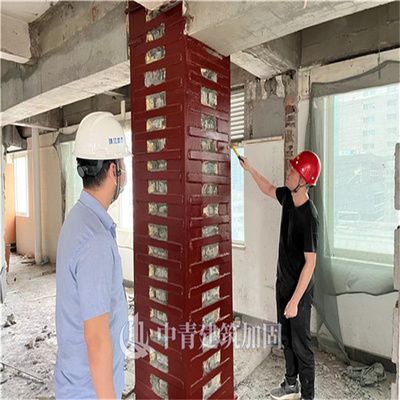 加固設計的市場競爭力分析(加固設計的市場競爭力受到哪些因素的影響) 鋼結構網架施工 第4張 加固設計的市場競爭力分析(加固設計的市場競爭力受到哪些因素的影響) 鋼結構網架施工 第4張