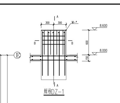 短柱鋼筋怎么看 結構工業鋼結構設計 第2張