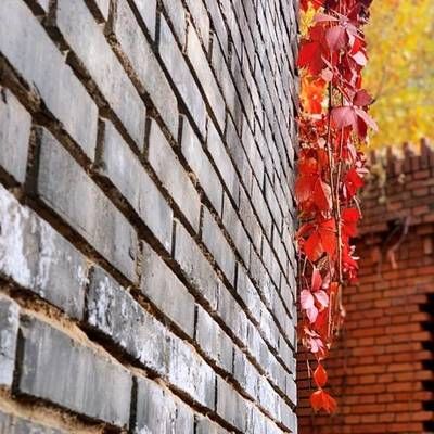 2020年北京紅磚價格 鋼結構門式鋼架施工 第5張
