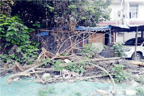 農村宅基地加固（農村宅基地加固政策最新動態,農村房屋加固案例分享） 結構電力行業設計 第4張