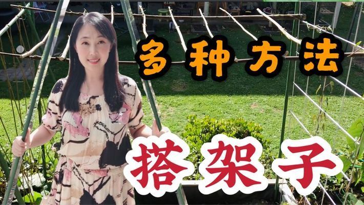 室內(nèi)搭架子方法視頻(室內(nèi)吊頂安裝架子方法) 結(jié)構(gòu)砌體施工 第2張 室內(nèi)搭架子方法視頻(室內(nèi)吊頂安裝架子方法) 結(jié)構(gòu)砌體施工 第2張