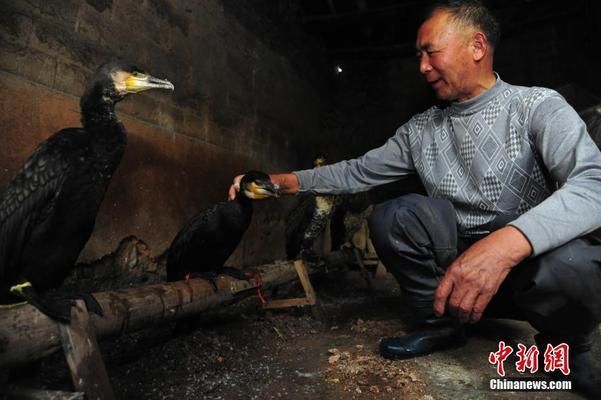 北京市拆墻整治文件(關(guān)于北京市拆墻整治的公告) 北京鋼結(jié)構(gòu)設(shè)計 第2張 北京市拆墻整治文件(關(guān)于北京市拆墻整治的公告) 北京鋼結(jié)構(gòu)設(shè)計 第2張