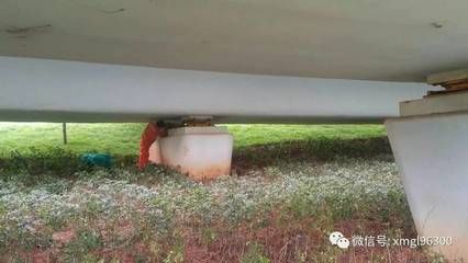 如何提高包鋼板加固的耐久性(包鋼板加固后如何進(jìn)行質(zhì)量檢測(cè)) 結(jié)構(gòu)框架施工 第5張 如何提高包鋼板加固的耐久性(包鋼板加固后如何進(jìn)行質(zhì)量檢測(cè)) 結(jié)構(gòu)框架施工 第5張