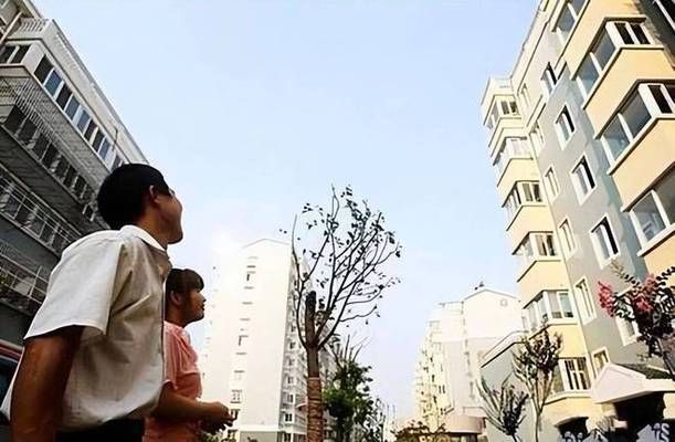 樓層改造加樓板(樓層改造加樓板施工工藝詳解,樓層改造安全性評估方法) 鋼結構框架施工 第4張 樓層改造加樓板(樓層改造加樓板施工工藝詳解,樓層改造安全性評估方法) 鋼結構框架施工 第4張
