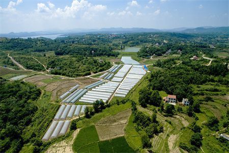樓房地基下沉還能住嗎現在(地基下沉能否繼續居住) 裝飾家裝施工 第4張 樓房地基下沉還能住嗎現在(地基下沉能否繼續居住) 裝飾家裝施工 第4張