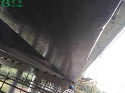 碳纖維加固在橋梁建設(shè)中的優(yōu)勢(shì)(碳纖維加固技術(shù)在橋梁建設(shè)中的應(yīng)用) 建筑效果圖設(shè)計(jì) 第5張 碳纖維加固在橋梁建設(shè)中的優(yōu)勢(shì)(碳纖維加固技術(shù)在橋梁建設(shè)中的應(yīng)用) 建筑效果圖設(shè)計(jì) 第5張