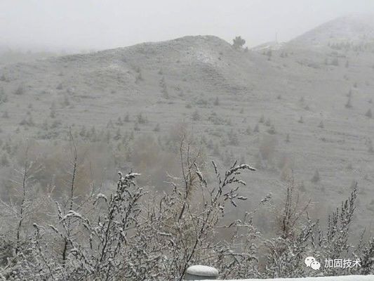潮濕環(huán)境下加固施工技巧(潮濕環(huán)境下建筑植筋加固) 鋼結(jié)構(gòu)跳臺設(shè)計 第4張 潮濕環(huán)境下加固施工技巧(潮濕環(huán)境下建筑植筋加固) 鋼結(jié)構(gòu)跳臺設(shè)計 第4張