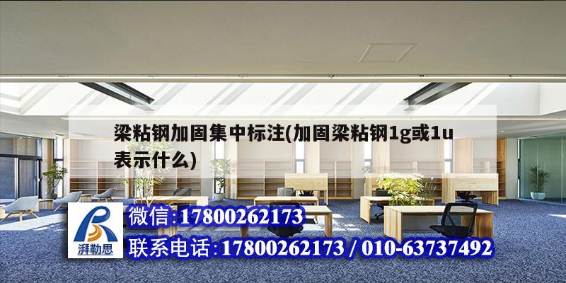 梁粘鋼加固集中標(biāo)注(加固梁粘鋼1g或1u表示什么)