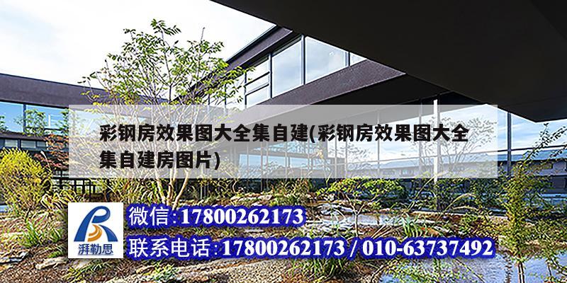 彩鋼房效果圖大全集自建(彩鋼房效果圖大全集自建房圖片)