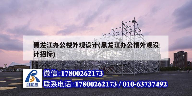 黑龍江辦公樓外觀設計(黑龍江辦公樓外觀設計招標)