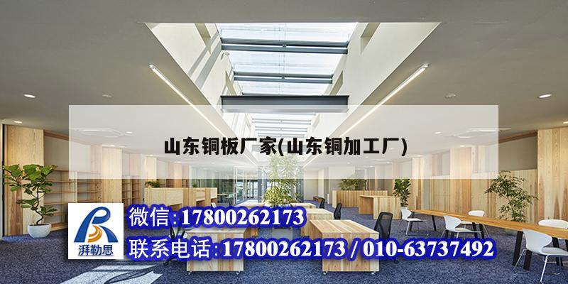 山東銅板廠家(山東銅加工廠) 結構電力行業設計