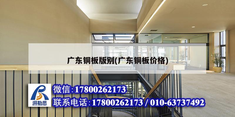廣東銅板版別(廣東銅板價格) 鋼結構跳臺設計