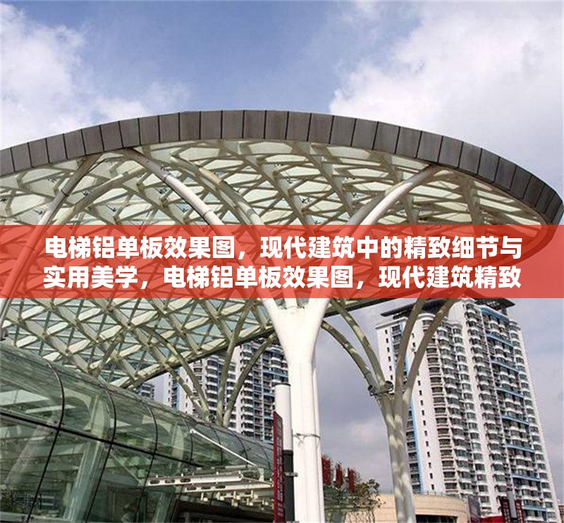 電梯鋁單板效果圖，現(xiàn)代建筑中的精致細節(jié)與實用美學(xué)，電梯鋁單板效果圖，現(xiàn)代建筑精致細節(jié)與實用美學(xué)的 行業(yè)新聞