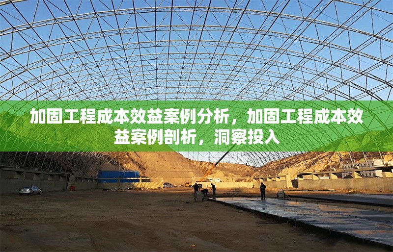 加固工程成本效益案例分析，加固工程成本效益案例剖析，洞察投入 行業(yè)新聞 第1張