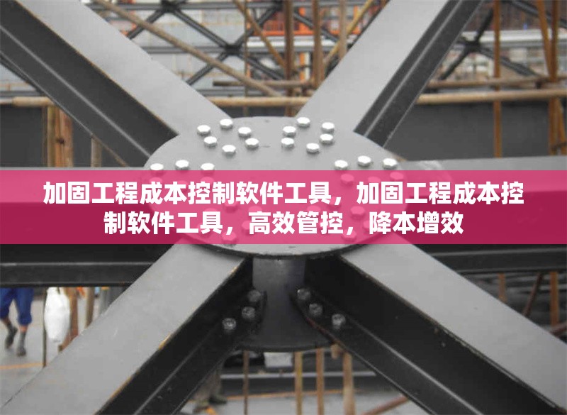 加固工程成本控制軟件工具，加固工程成本控制軟件工具，高效管控，降本增效 行業(yè)新聞 第1張