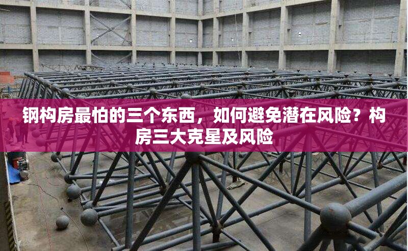 鋼構房最怕的三個東西，如何避免潛在風險？構房三大克星及風險 行業新聞
