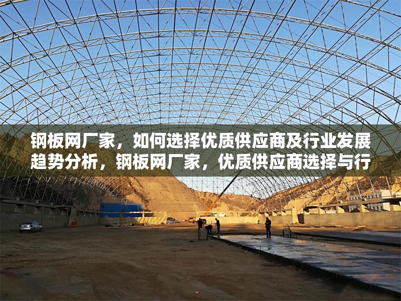 鋼板網廠家，如何選擇優質供應商及行業發展趨勢分析，鋼板網廠家，優質供應商選擇與行業