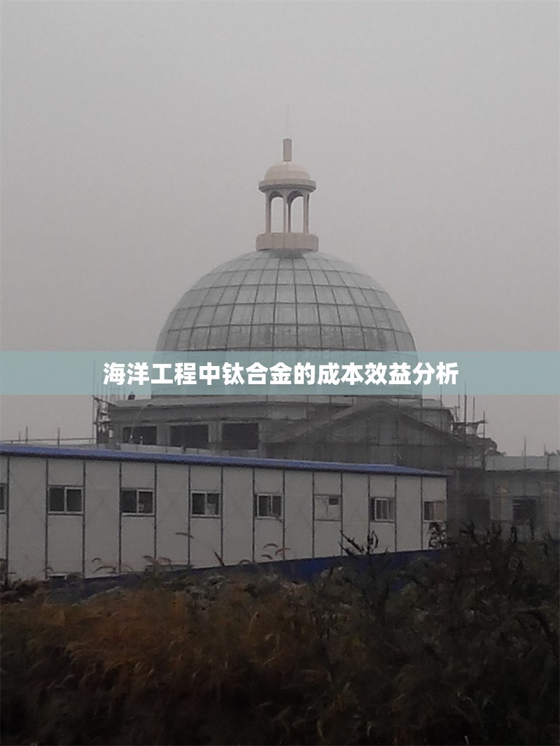 海洋工程中鈦合金的成本效益分析 行業新聞 第1張