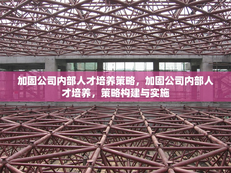 加固公司內部人才培養策略，加固公司內部人才培養，策略構建與實施