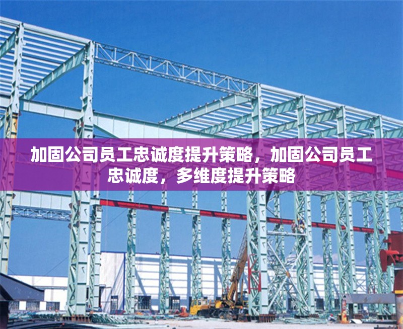 加固公司員工忠誠度提升策略，加固公司員工忠誠度，多維度提升策略