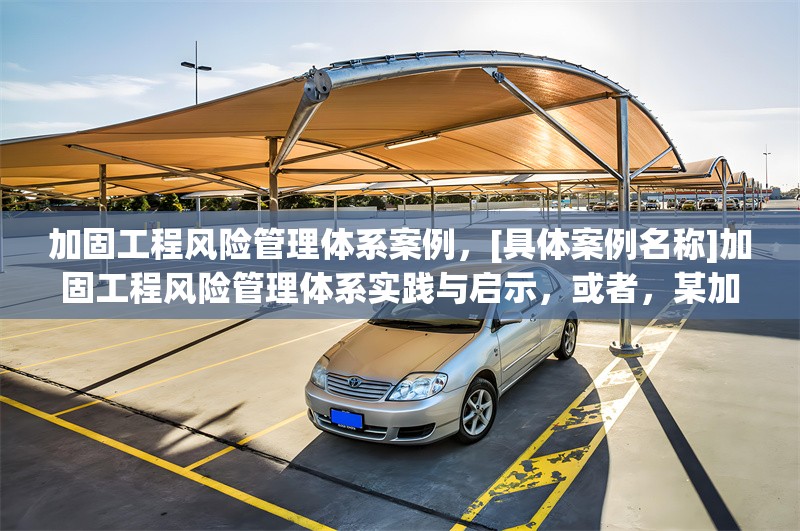 加固工程風險管理體系案例，[具體案例名稱]加固工程風險管理體系實踐與啟示，或者，某加固工程風險管理體系構建及應用案例剖析，或者