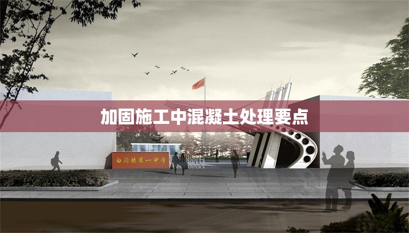 加固施工中混凝土處理要點(diǎn) 行業(yè)新聞 第1張