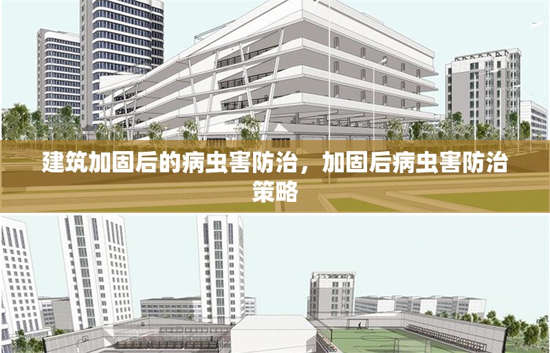 建筑加固后的病蟲害防治，加固后病蟲害防治策略 行業(yè)新聞 第1張