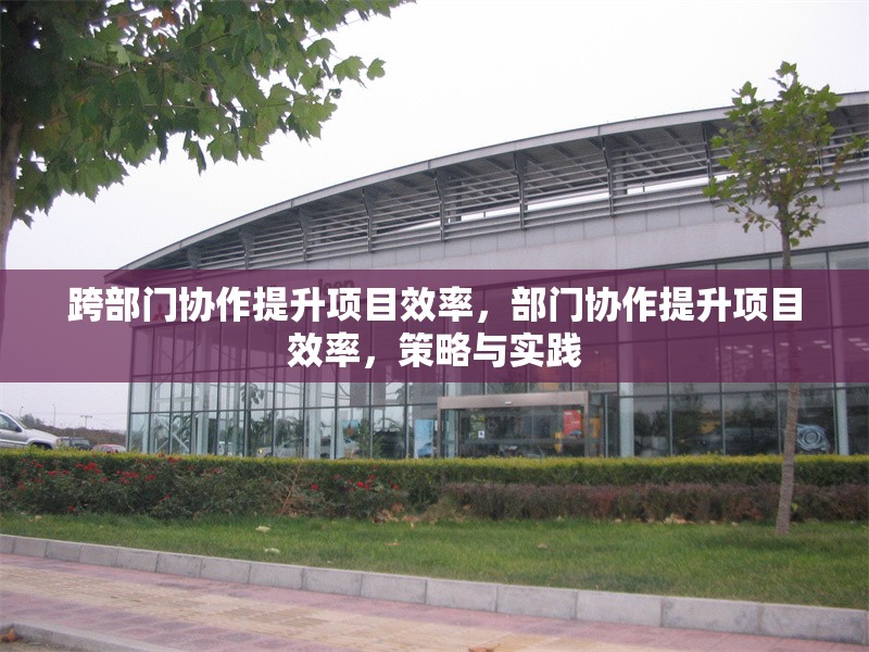 跨部門協作提升項目效率，部門協作提升項目效率，策略與實踐