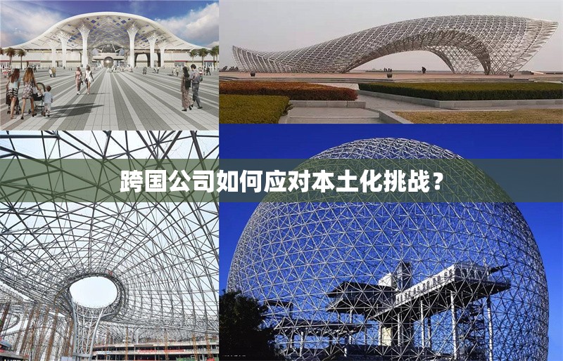跨國公司如何應(yīng)對本土化挑戰(zhàn)？