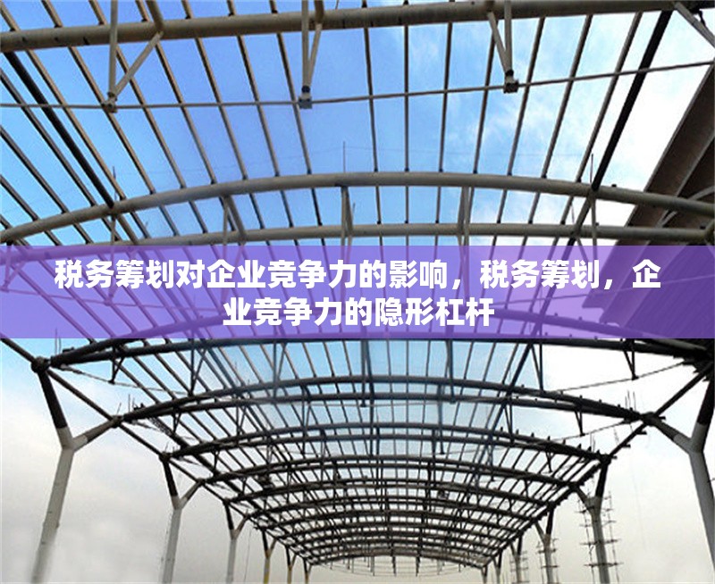 稅務(wù)籌劃對企業(yè)競爭力的影響，稅務(wù)籌劃，企業(yè)競爭力的隱形杠桿 行業(yè)新聞 第6張