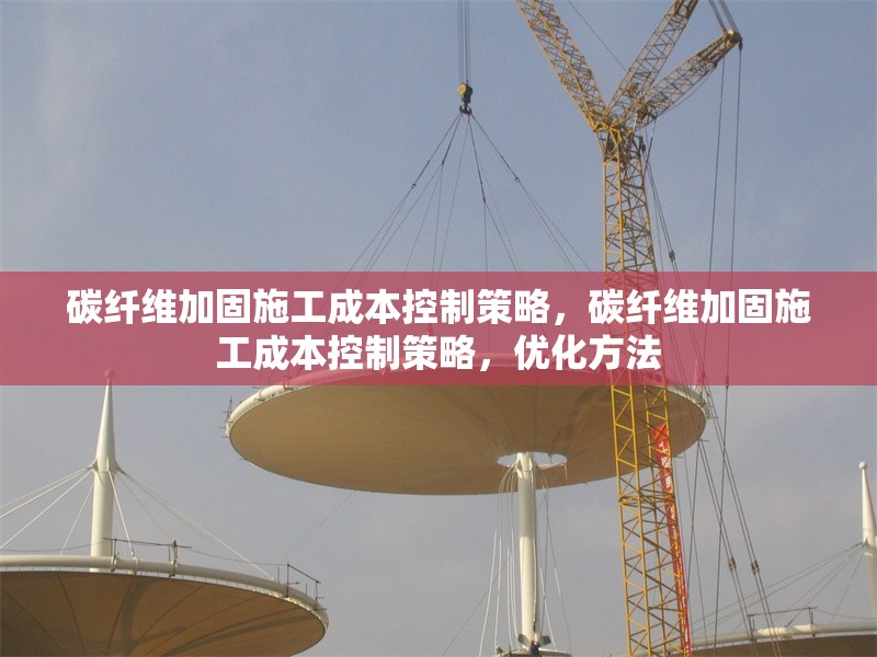 碳纖維加固施工成本控制策略，碳纖維加固施工成本控制策略，優(yōu)化方法 行業(yè)新聞 第6張