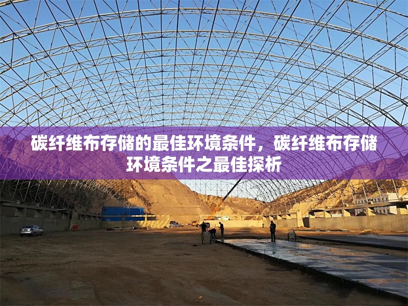 碳纖維布存儲的最佳環境條件，碳纖維布存儲環境條件之最佳探析 行業新聞 第1張