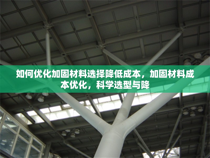 如何優化加固材料選擇降低成本，加固材料成本優化，科學選型與降 行業新聞 第6張