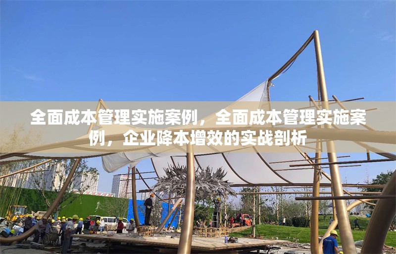 全面成本管理實施案例，全面成本管理實施案例，企業降本增效的實戰剖析