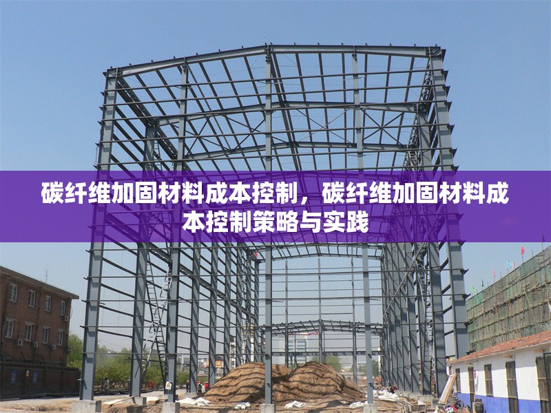 碳纖維加固材料成本控制，碳纖維加固材料成本控制策略與實踐