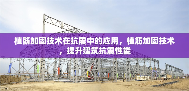 植筋加固技術在抗震中的應用，植筋加固技術，提升建筑抗震性能 行業新聞 第6張